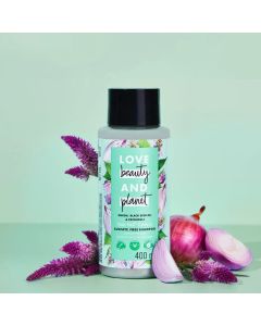 Onion, Blackseed & Patchouli Shampoo (400 ml)