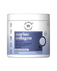 Korean Marine Collagen Blueberry Mint